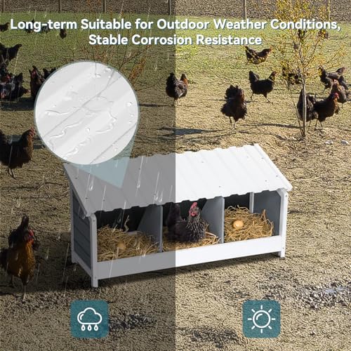 PETSFIT 3 Holes Chicken Nesting Box, PVC Waterproof Roof, Privacy Cover | Wall Mounted or Floor Use, Natural Fir Wood, Easy to Assemble and Clean, For Backyard Coops and Farms, Fits Standard Hens - size: 3 Holes