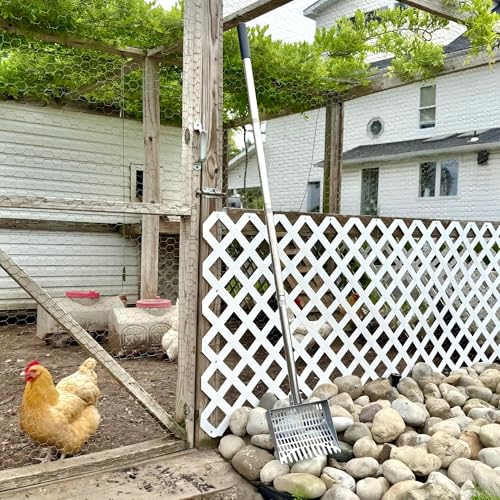 Chicken Poop Scooper Spring Steel Shovel 38-66in Extendable Handle | 3 Adjustable Angle Sifting Shovel Professional Poultry Litter Cleaner for Chicken Coop, Duck, Goat and Sand - size: 9" W x 2.5" D