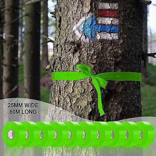 10 Pack Green Flagging Tape, Non-Adhesive Plastic Ribbon Neon Marking Roll | 1inch*2000ft, Marking Tape for Tree Marking, Hunting, Boundaries and Hazardous Areas,Trail Marking - color: Green - 10pack