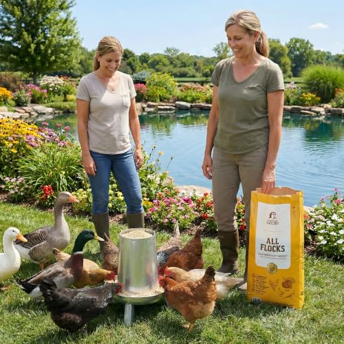 All Flock Feed Pellets, 18% Protein, 40lb, Made in USA | Pre & Probiotics, Supports Growth & Digestion, Ideal for Chickens, Ducks, Geese, Turkeys & Game Birds - size: 40lb (Pack of 1), style: All Flocks