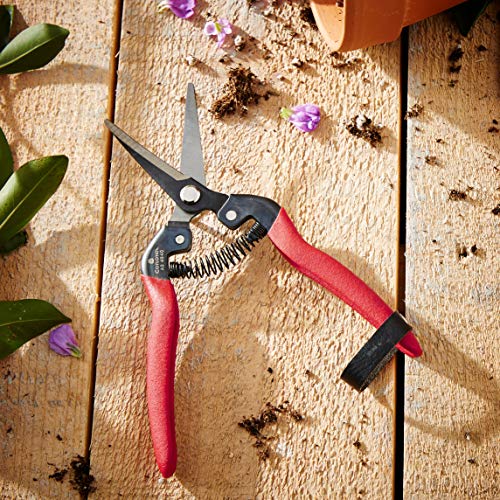 Corona Tools Long Curved Snips – 1.75″ Tempered Steel Precision Garden Shears for Fruit, Herbs, Flowers & Vineyard Use