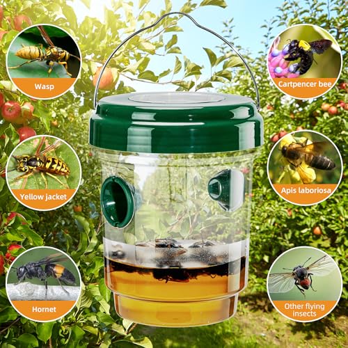 2 Pack Solar Wasp Trap Outdoor Hanging