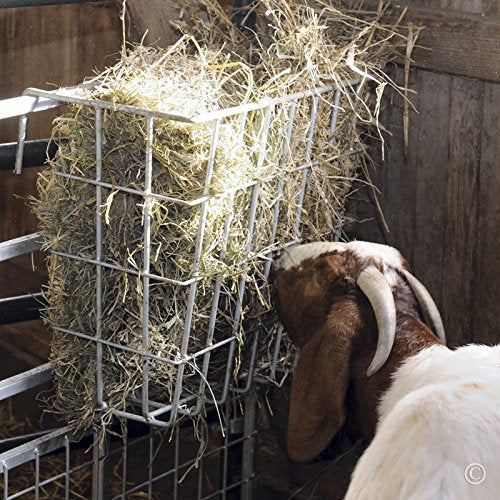 Premier 1 X-Tuff Single Sided Hay Feeder | Hot-dip galvanized. Small openings reduce waste. Lambs eat through bottom. L-hooks hang on panels up to 2" thick.