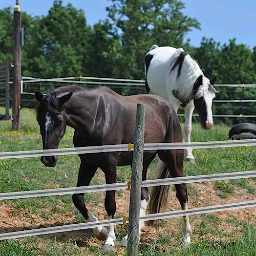 Electric Fence Poly Tape Horse Fencing Tape 656 Feet 200m, 2 Inch 50mm Width, 12 x 0.18mm Stainless Steel Conductors, White and Gray | 12 x 0.18mm stainless steel conductors, 200m length, white & gray durable tape for horse fencing