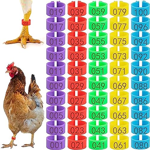 CougZed 100 Pcs Chicken Leg Bands - 16mm Colorful Numbered Chicken Tags for Legs, Poultry Leg Bands for Ducks, Chicks, Goose, Gamefowl, Turkey