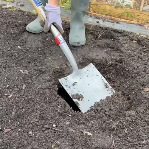 Spear & Jackson Neverbend Professional Digging Spade – Heavy-Duty Forged Carbon Steel Garden Spade for Tough Soil and Precision Digging - style: Digging Spade