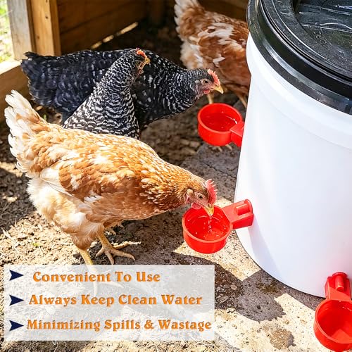 Chicken Waterer Cups, DIY Automatic Poultry Watering Bowl Device | Large 6pcs Turkey Waterer Feeder, Poultry Watering System Water Feeder Kit Suitable for Duck, Chicks, Goose, Bunny and Bird