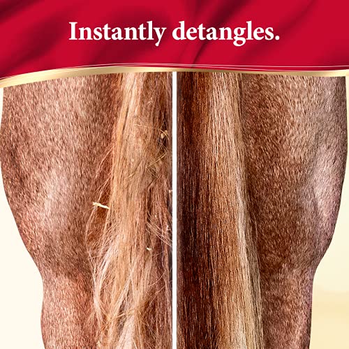 Absorbine ShowSheen Hair Polish & Detangler, 128 fl oz Refill Gallon | Mane & Tail, Pro-Vitamins, Silk Proteins, Lustrous Shine, Reduces Hair Breakage, Promotes Longer Healthy Hair, Horses & Dogs - size: 128 fl oz Refill