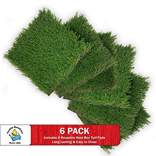 Cackle Hatchery Laying Hen Nest Box Turf - Easy to Clean & Lasts for Years in Chicken Nesting Boxes (6 Pack)