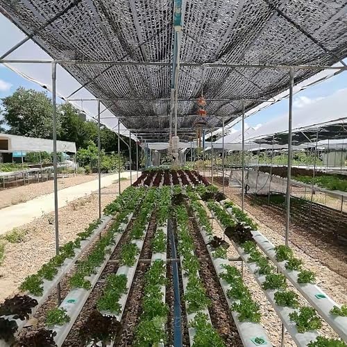 winemana Black Shade Cloth 70%, 30x50 FT Mesh Tarp - Garden Shade for Greenhouse, Patio, Vegetables, Plants Cover and Chicken Coops, Sunshade Net for Outdoor Protection with Reinforced Grommets - size: 70%-30 FT x 50 FT