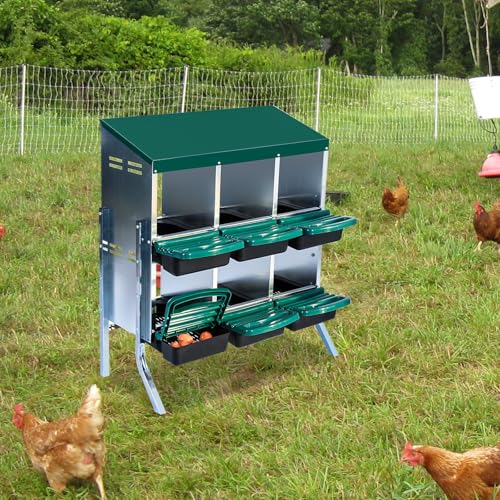 Chicken Nesting Box, 6 Hole 2 Layer Hen Nest Boxes with Legs, Roll Away Eggs Laying Boxes,Cleanable Pull Out Hen Roosting Boxes - size: Green- 6 compartment with legs