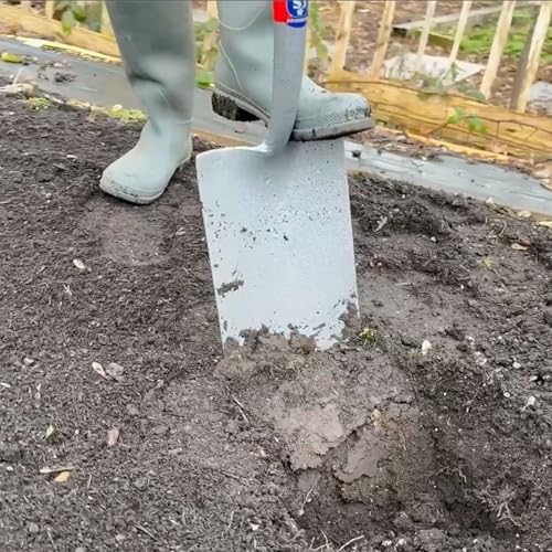 Spear & Jackson Neverbend Professional Digging Spade – Heavy-Duty Forged Carbon Steel Garden Spade for Tough Soil and Precision Digging - style: Digging Spade