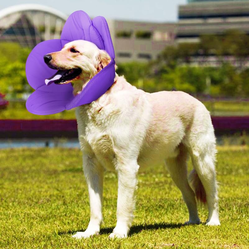 POPETPOP Flower Dog Recovery Collar Elizabethan Pet Collar for Cats and Dogs Lightweight Wound Protection Cone for Post-Surgery Helps Prevent Scratching and Licking 14.56 X 9.84 X 0.39 in