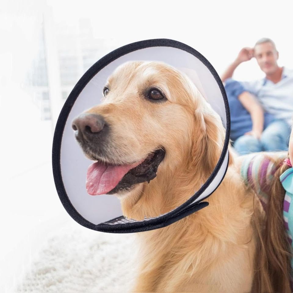 2PCS Adjustable Dog Recovery Cone, Plastic E-Collar for Cats and Dogs, Comfortable Elizabethan Collar to Help Reduce Licking and Scratching, Soft Edge Pet Cone for Large Medium Small Pets, White, S - size: S