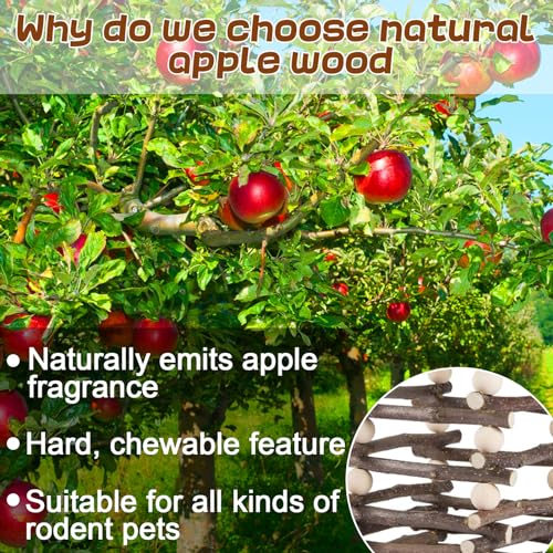 Hanging Apple Wood Rabbit Hay Feeder for Chinchilla Bunny Hamster Gerbil | Guinea Pig Grass Holder with 2 Hooks, Biting Resistant Small Animals Chew Toy, Feeding Hay Manager Shelf for Holiday Gifts
