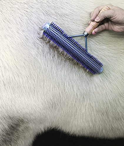 Weaver Leather Livestock Wide Range Brush, Silver/Purple - color: Silver/Purple, size: Large