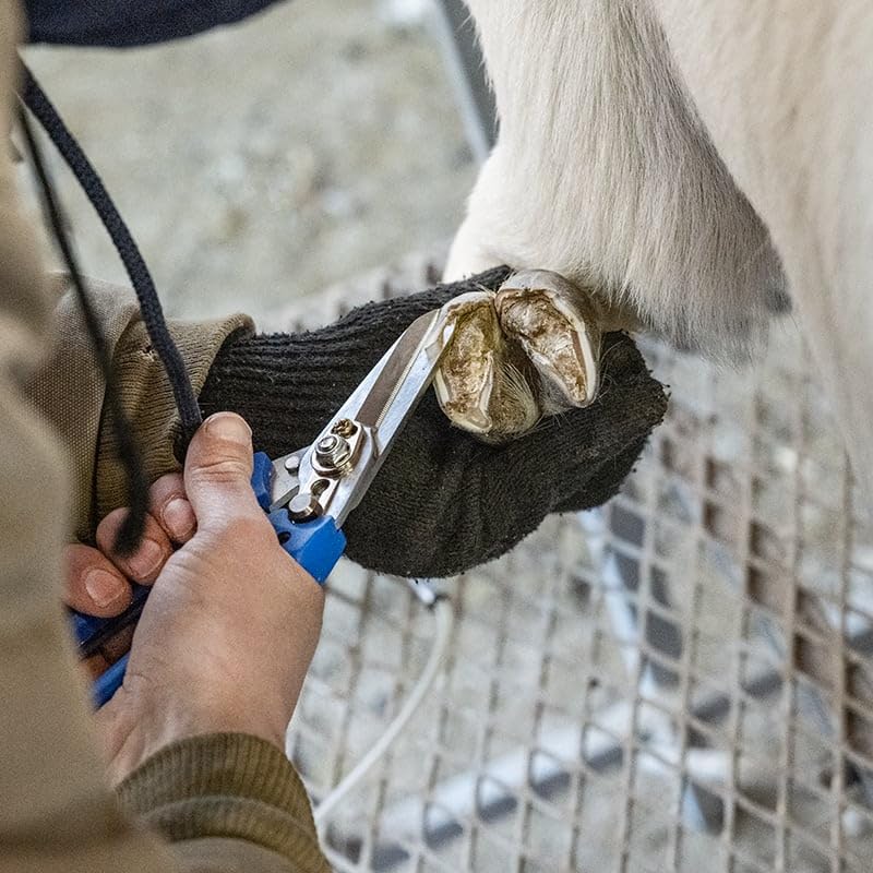Premier 1 ExoTrim™ Blue Hoof Trimmer (Non-Serrated) | Longer 2.2" blades, offset angle for tight spaces. Ergonomic all-day comfort. Smooth blades for hooves. Secure locking. - style: Non-Serrated