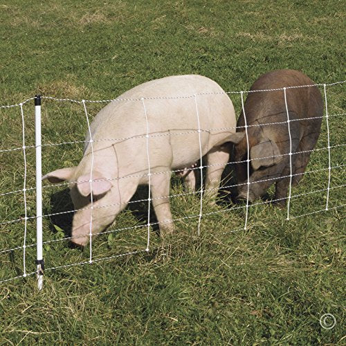 Premier 1 Pig QuikFence® Electric Fence for Pigs – 30"H x 100'L | White/black, single spike, high-visibility posts. 6 horizontal strands. For domestic pigs. Energizer sold separately.