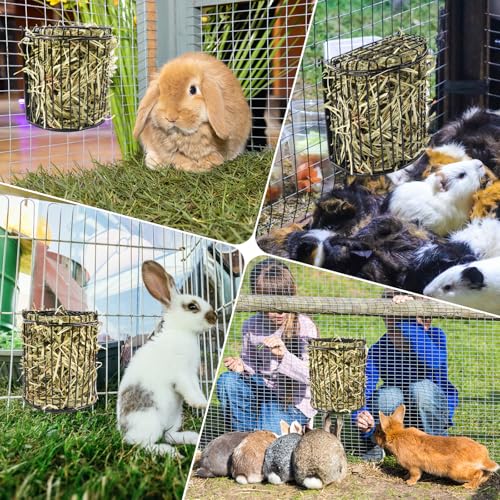 Bunny Hay Feeder, Semicircular Space-Saving Design, Black | Lid Design Helps Keep Hay Clean, Metal Frame Hay Rack for Rabbits, Guinea Pigs, Bunny, Chinchillas & Small Animals - size: Semicircular feeder