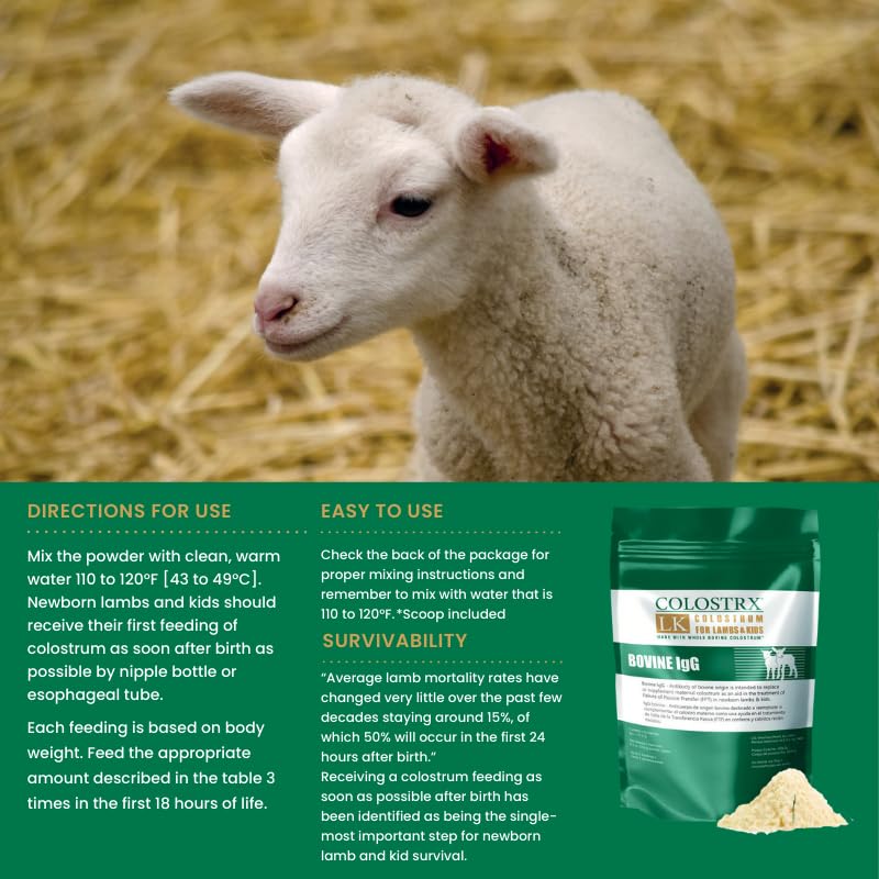 IVS 2Qt Nursing Bottle Colostrx LK Colostrum Supplement-Newborn Livestock | Snap-On Nipple & Handle | Lambs Kids Goats Calves | Lambs, Kids Feeding System - size: 2 Quart–With Colostrx LK