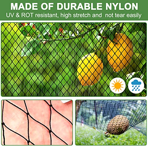 DQS Bird Netting 25x100ft, 1" Square Mesh Poultry Netting for Chicken Coop | Heavy Duty Garden Netting, Fruit Tree Netting for Blueberry Bushes, Vegetable Against Squirrels, Deer, Pests Trellis Net - size: 1", 25' x100'