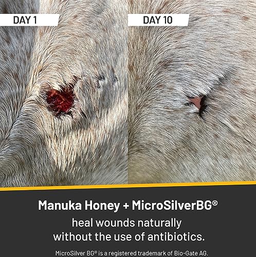 Absorbine Silver Honey Rapid Wound Repair Ointment 2oz Tube, Manuka Honey + MicroSilver BG, Horse & Large Animal Wound Care | Manuka Honey, MicroSilver BG, Quick Healing, Thick & Creamy, Multispecies Versatility, Natural Ingredients, Antibiotic-Free