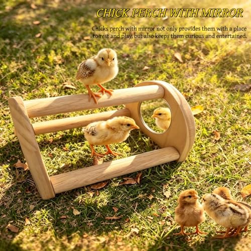Chick Starter Kit with 75w Heat Lamp, 5-in-1 Baby Chicken Brooder Supplies | Feeder & Waterer Set, Perch with Mirror for Coop Brooder Poultry Chick Duck Quail Bird