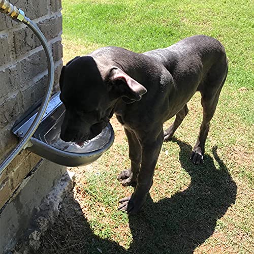 Automatic Livestock Waterer for Cattle, Dogs, Chicken, 304 Stainless Steel | Rust-Proof Auto Refill Float Valve, Wall Mount, Easy Install & Clean, for Horse Sheep Pig, Livestock Water Trough Bowl