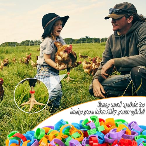 100pcs Chicken Leg Bands, 14-22mm Adjustable Poultry Tags, Durable Multi-Colored Hens Identification Leg Rings, Chicken Coop Accessories for Chickens, Chick, Ducks, Goose, Turkey, Birds