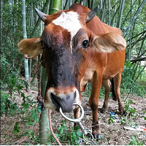 Stainless Steel Bovine Nose Ring - Automatic Spring Nose Pliers & Clamp for Cows and Other Farm Animals