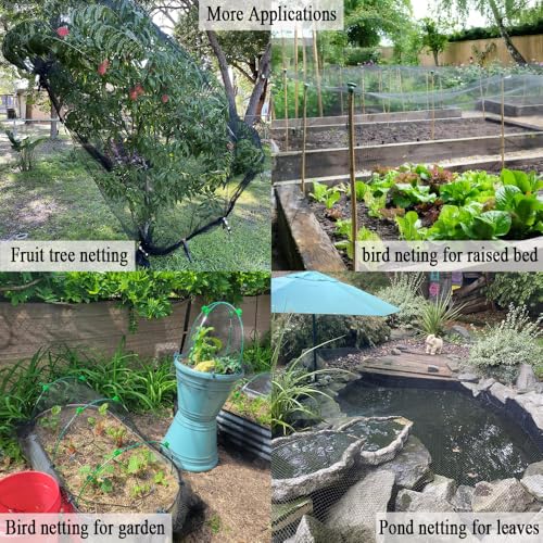 Bird Netting for Chicken Coop 25x100 FT, 1" Chicken Run Cover Net | Woven Coop Netting Roof Against Hawk, Eagle, Owls, Bird Netting for Garden, Fruit Trees, Plants, Vegetables Protection - size: 25x100 FT