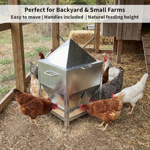 Automatic Chicken Feeder, 80lb Large Capacity Chicken Feeder, No Waste Gravity Poultry Feeder with Legs and Rain Proof Lid, Metal Outdoor Poultry Feeders for Hens, Ducks, Roosters, Free-Range Coops