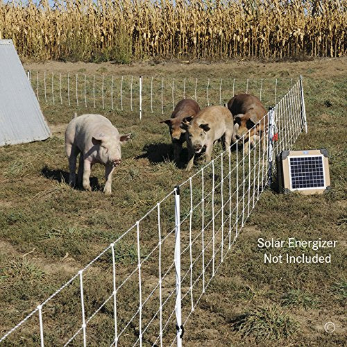 Premier 1 Pig QuikFence® Electric Fence for Pigs – 30"H x 100'L | White/black, single spike, high-visibility posts. 6 horizontal strands. For domestic pigs. Energizer sold separately.