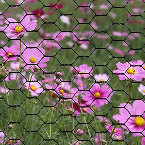 PVC Hexagonal Poultry Netting Chicken Wire 36" x50' x 1" Mesh 20GA Black
