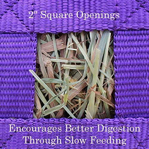 Derby Originals Superior Slow Feeder Horse Hay Bag with Super Tough Bottom and 1 Year Warranty - color: Purple