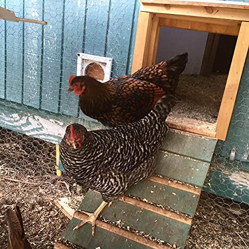 Opener with Timer Included | Auto Vertical Sliding Pop Door for Poultry