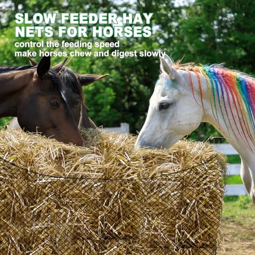 TONGMO 4x4 ft Round Bale Hay Net for Horses & Livestock - Slow Feeder Hay Nets with 2 inches Hole - size: 4×4 ft