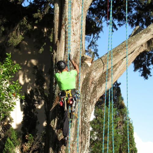 1/2 inch x 50ft Arborist Tree Climbing Rope – 48 Strand Polyester Static Bull Rope, 9000lb Breaking Strength – Heavy Duty Utility Line for Swing Pulling, Outdoor, Marine Use – ASTM F2116 Certified - size: 1/2IN x 50FT, style: Orange