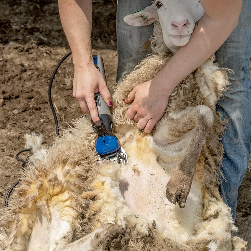 Premier 1 4000s Shearing Package (4000s -13T Comb) | Includes everything to get started with machine shearing. Removes wool for sale or show ring preparation. 13T comb included. - style: 4000s (13T Comb)