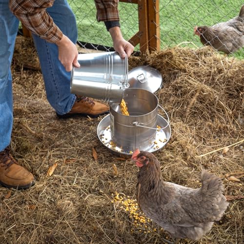 Plexon 17.6 Lb Hanging Chicken Feeder Metal Chicken Feeder with Handle no Waste Food - Stainless Steel - Turkey Duck Poultry Feeder - Heavy Duty Feeding Equipment - Grade Large - size: 17.6 LB