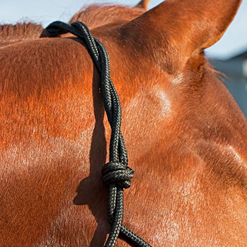 Dura-Tech Rope Control Halter for Horses w/13.5 Lead | Provides Optimal Control | Adjusts to Fit Various Breeds | Includes Durable 13.5' Lead | Soft Yet Heavy-Duty Poly Rope