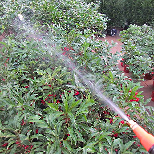 MyLifeUNIT Hand Pressure Sprayer, Spray Bottle with Adjustable Pressure Nozzle for Plants, Maximum 35 OZ