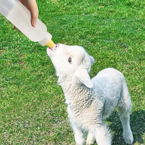 Lamb&Goat Feeding Bottle 2Pcs 500ml Lamb Nipple and Bottle Reusable Small Animal Care Milk Bottle for Farm Supplies