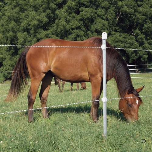 Premier 1 IntelliRope® PE 6.0 Electric Fence Rope – 6mm, 660 ft | 3 tinned copper + 3 SS filaments. Resists wear & abrasion. 10-year probable life. For permanent & portable fences.