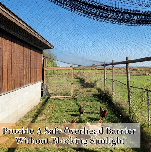25x50ft Heavy Duty HDPE Poultry Netting,2.4" Bird Netting for Chicken Coop Run Chicken Pen,Strong Chicken Run Net Against Hawk & Predator,Tangle-Free UV Resistant (25FT)