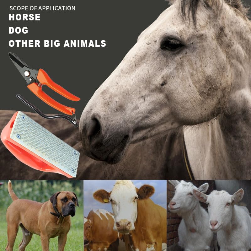 Hoof Trimming and hoof rasp Tools for Goats, Horses,Durable Carbon Steel Farrier Tools