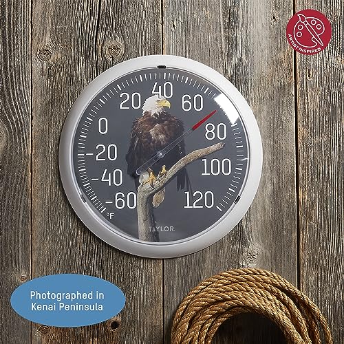 Taylor Nature Series Eagle Indoor Outdoor Dial Thermometer, Easy to Read Wall Decor for Patio, Pool, Yard, Garden or Garage, 13.25 Inch, Gray Bezel - style: Eagle