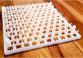 G.Q.F Quail Egg Trays (6 Pack) - 0243
