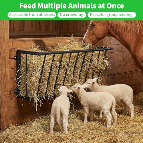 Wall Mount Hay Rack for Goats, Sheep, Horses – Heavy Duty 25 Gallon Livestock Hay Feeder, Hanging Blanket Holder with Rust Resistant Coating, Space Saving Farm Goat Feeder for Indoor, Outdoor Use - size: 25 Gallon