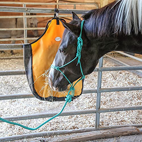 Majestic Ally 1/4" Rope 4 Knot Stiff Polyester Training Halter with 10’ Matching Lead Rope for Horses – Full (Turquoise, Full) - color: Turquoise, size: Full
